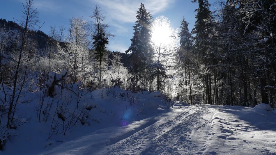 Winter Hiking Winter hike from Gössl to the Toplitzsee lake - Touren-Impression #2.4 | © Fischerhütte Toplitzsee/A. Syen