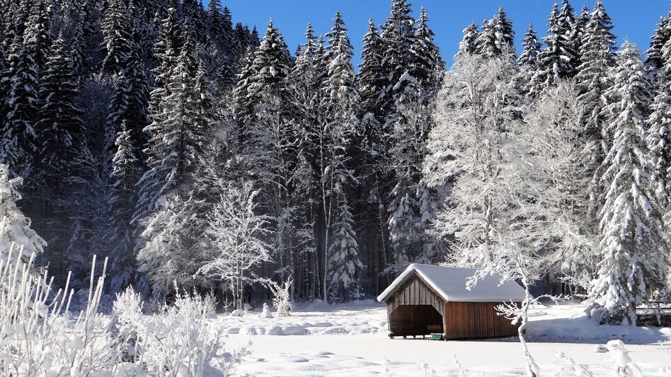 Winter Hiking Winter hike from Gössl to the Toplitzsee lake - Touren-Impression #2.5 | © Fischerhütte Toplitzsee/A. Syen