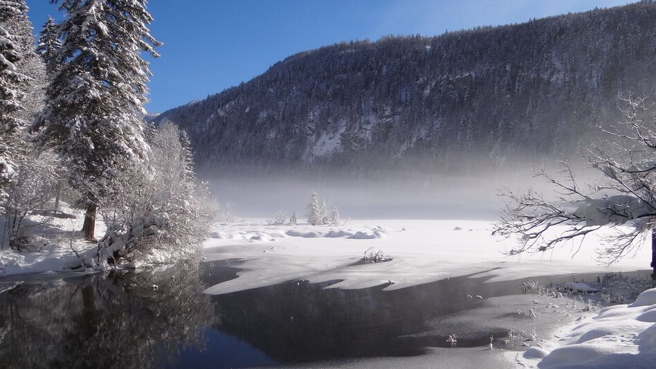 Winter Hiking Winter hike from Gössl to the Toplitzsee lake - Touren-Impression #2.6 | © Fischerhütte Toplitzsee/A. Syen