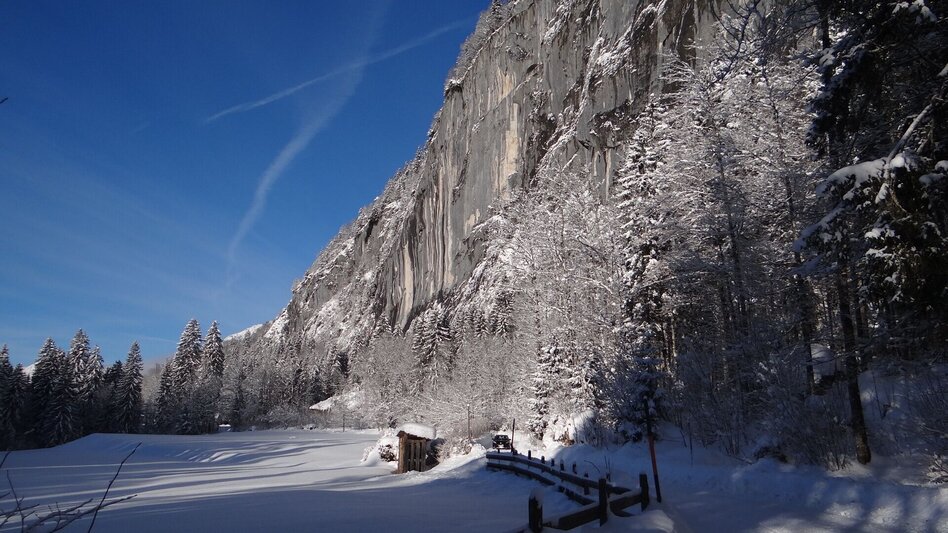 Winter Hiking Winter hike from Gössl to the Toplitzsee lake - Touren-Impression #2.9 | © Fischerhütte Toplitzsee/A. Syen