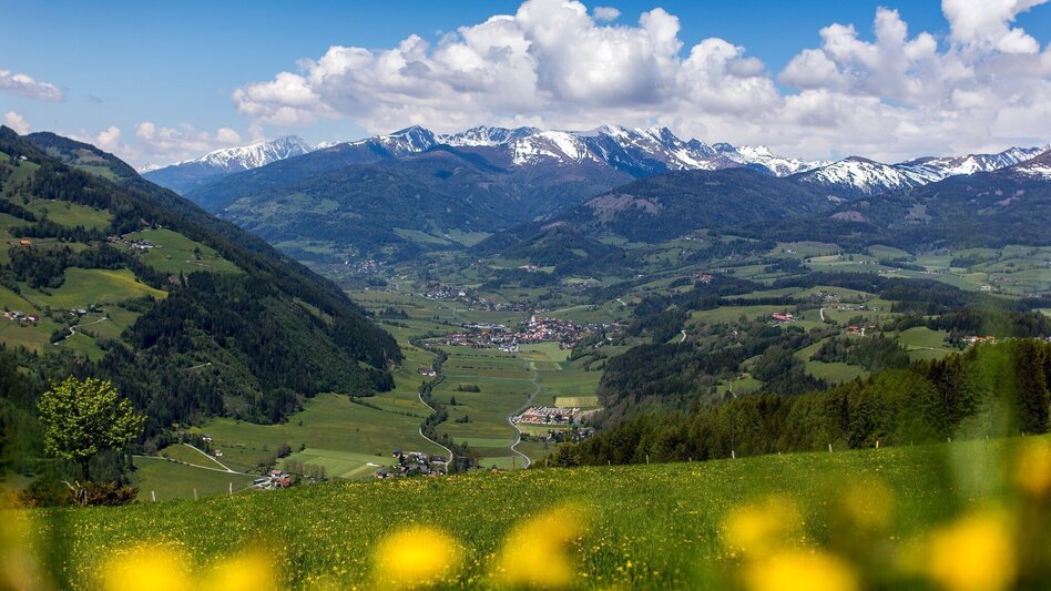 Hiking route Pentecost varnishes (path 15) - Touren-Impression #2.2 | © Tourismusverband Murau