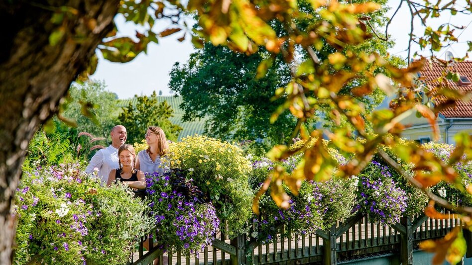 Theme path Flower trail (Blumenwanderweg) - Touren-Impression #2.5 | © Erlebnisregion Thermen- & Vulkanland