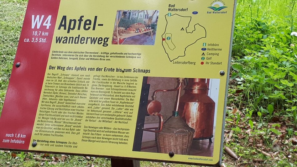 Panorama Trail Apple trail (Apfelwanderweg) - Touren-Impression #2.2 | © Erlebnisregion Thermen- & Vulkanland