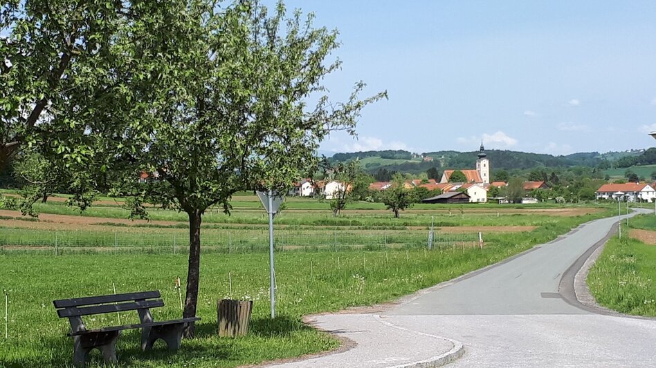 Panorama Trail Apple trail (Apfelwanderweg) - Touren-Impression #2.5 | © Thermen- & Vulkanland