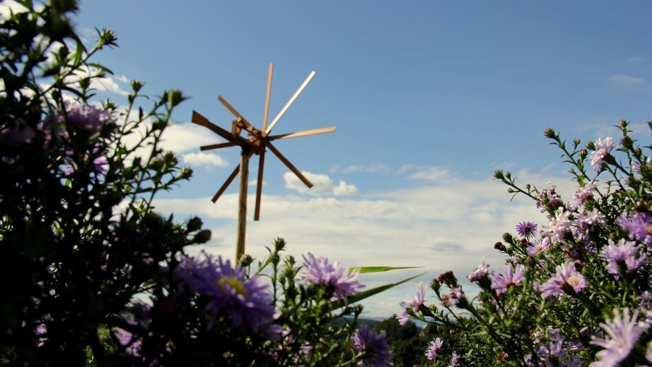Hiking route Dominion forest trail (Herrschaftswaldweg) - Touren-Impression #2.1 | © Thermen- & Vulkanland