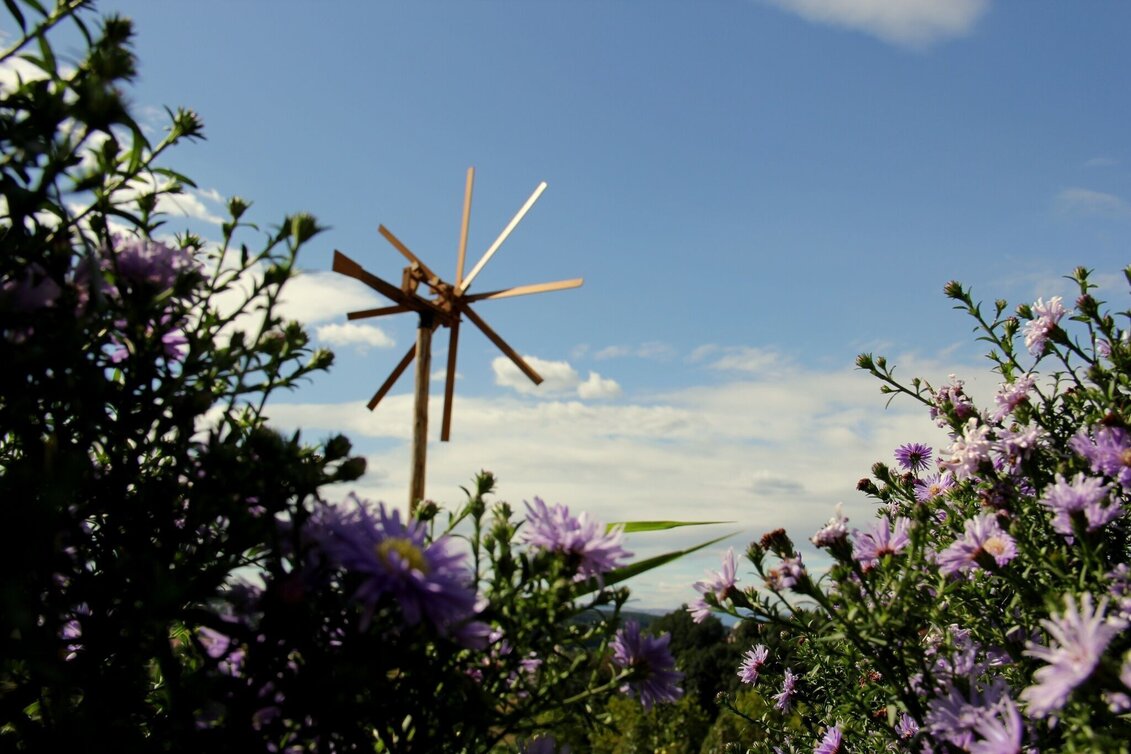 Hiking route Dominion forest trail (Herrschaftswaldweg) - Touren-Impression #1 | © Thermen- & Vulkanland