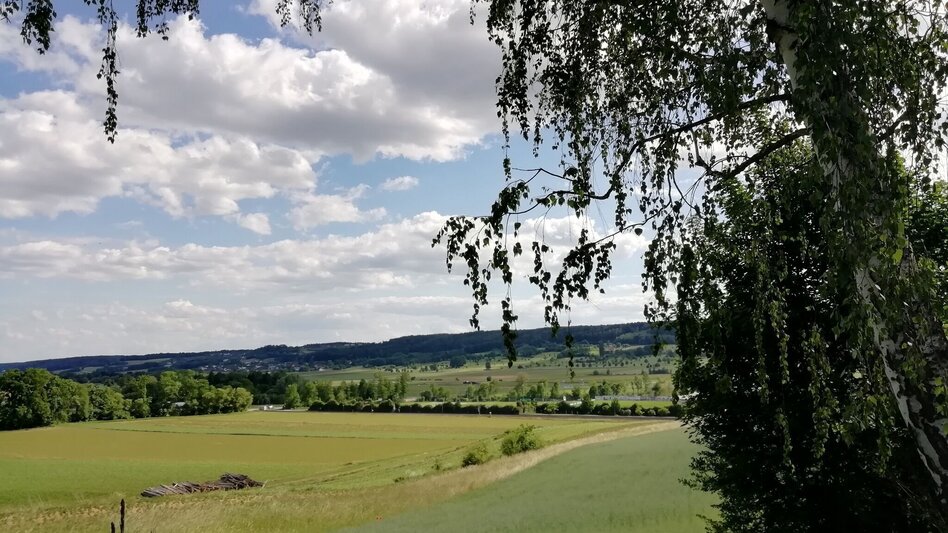 Hiking route Dominion forest trail (Herrschaftswaldweg) - Touren-Impression #2.4 | © Thermen- & Vulkanland