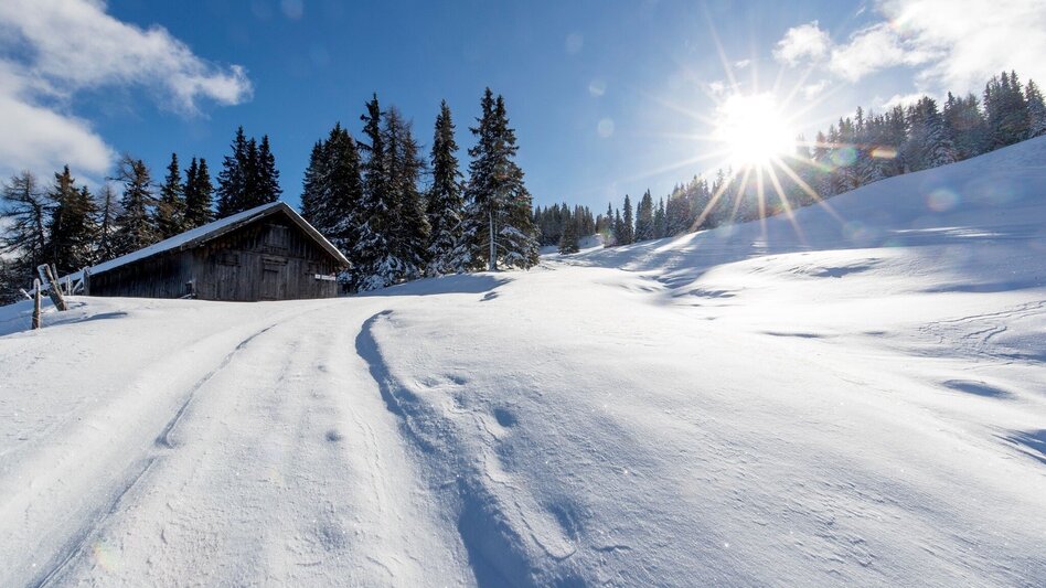 Snowshoe walking Frauenalpe - via the Troghütte to the summit & back via Oberberg - Touren-Impression #2.3 | © Tourismusverband Murau