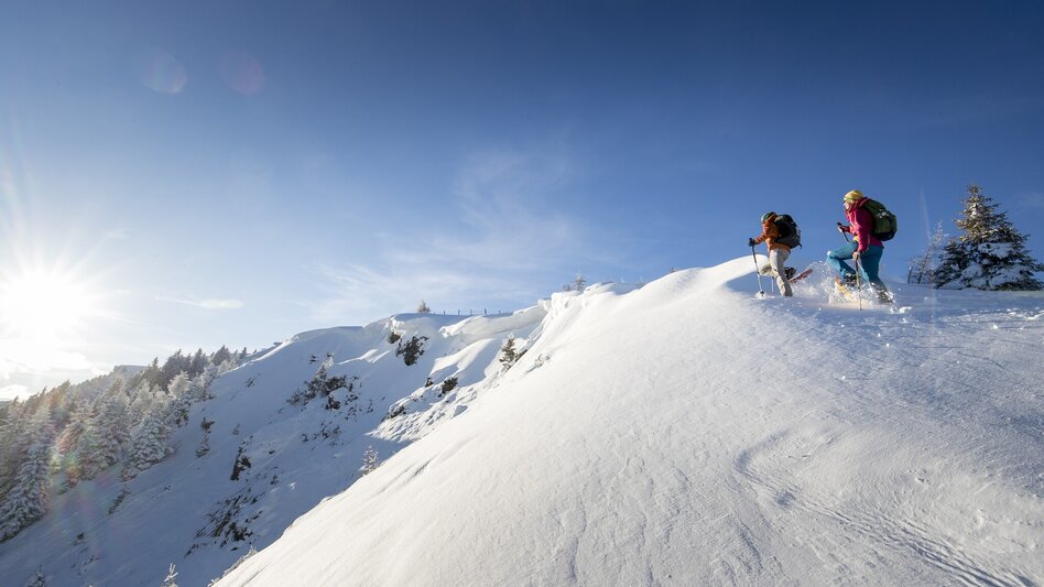Snowshoe walking Frauenalpe - via the Troghütte to the summit & back via Oberberg - Touren-Impression #2.1 | © TVB Murau