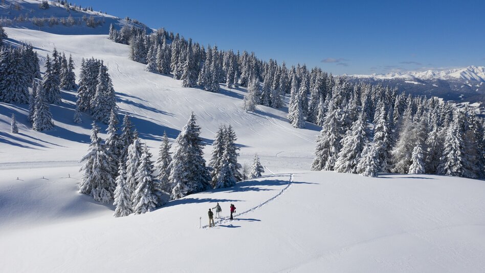 Snowshoe walking Frauenalpe - via the Troghütte to the summit & back via Oberberg - Touren-Impression #2.4 | © Steiermark Tourismus