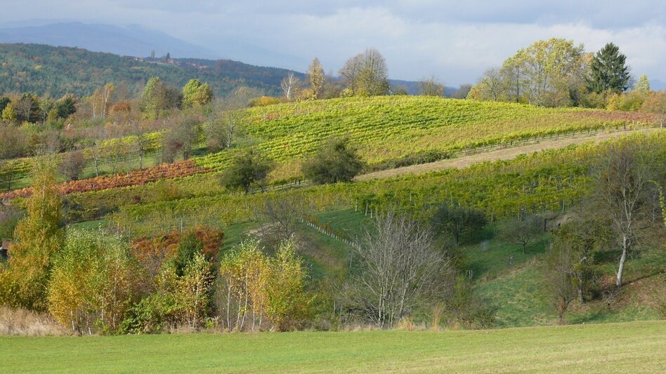 Hiking route Mountain trail (Berglerweg) - Touren-Impression #2.4 | © Erlebnisregion Thermen- & Vulkanland