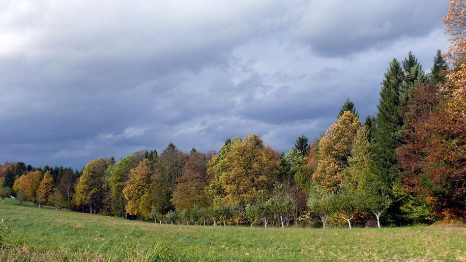 Hiking route Mountain trail (Berglerweg) - Touren-Impression #2.5 | © Thermen- & Vulkanland