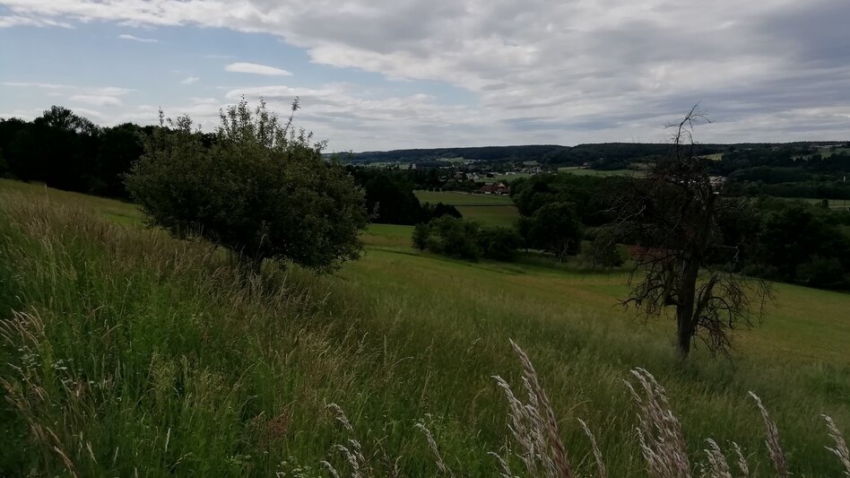 Hiking route Mountain and valley hiking trail (Berg- & Tal Rundwanderweg) - Touren-Impression #2.2 | © Erlebnisregion Thermen- & Vulkanland