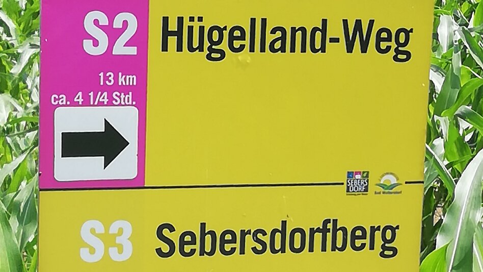 Hiking route Hill country trail (Hügelland-Weg) - Touren-Impression #2.1 | © Thermen- & Vulkanland