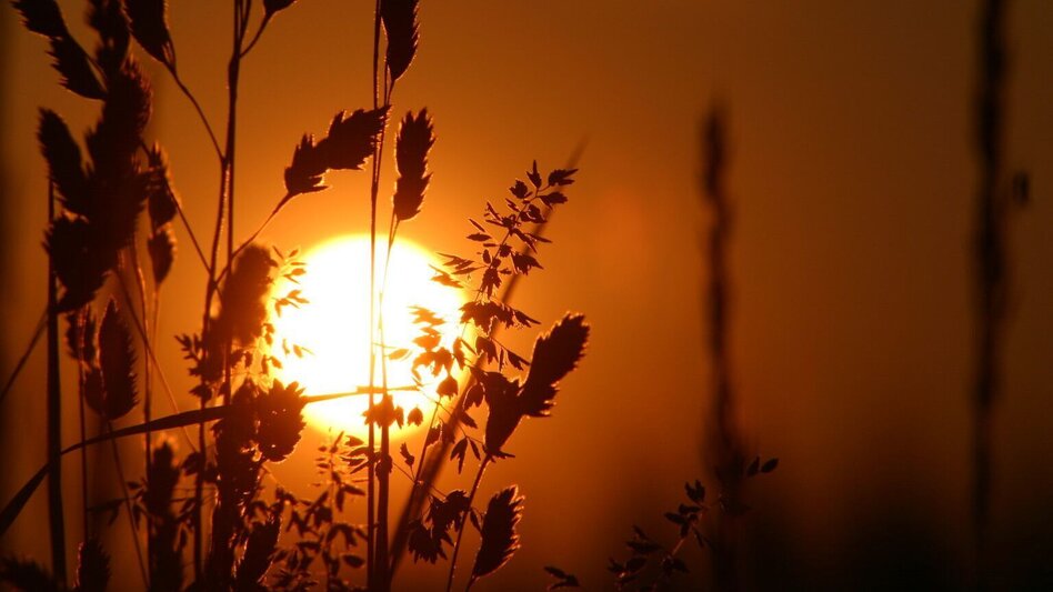 Hiking route Sebersdorfberg trail (Sebersdorfberg-Weg) - Touren-Impression #2.1 | © Erlebnisregion Thermen- & Vulkanland