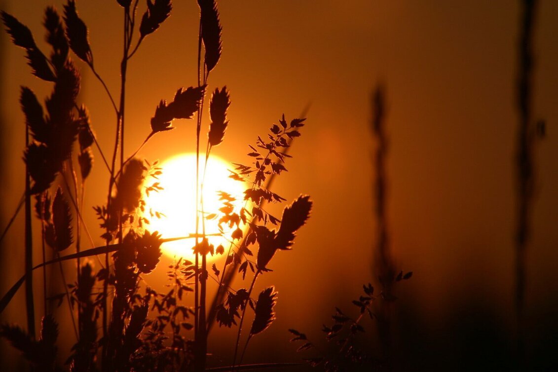 Hiking route Sebersdorfberg trail (Sebersdorfberg-Weg) - Touren-Impression #1 | © Erlebnisregion Thermen- & Vulkanland
