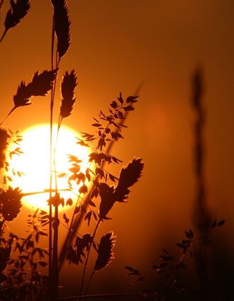 Sonnenuntergang in der 2-Thermenregion | Infobüro Bad Waltersdorf | © Erlebnisregion Thermen- & Vulkanland