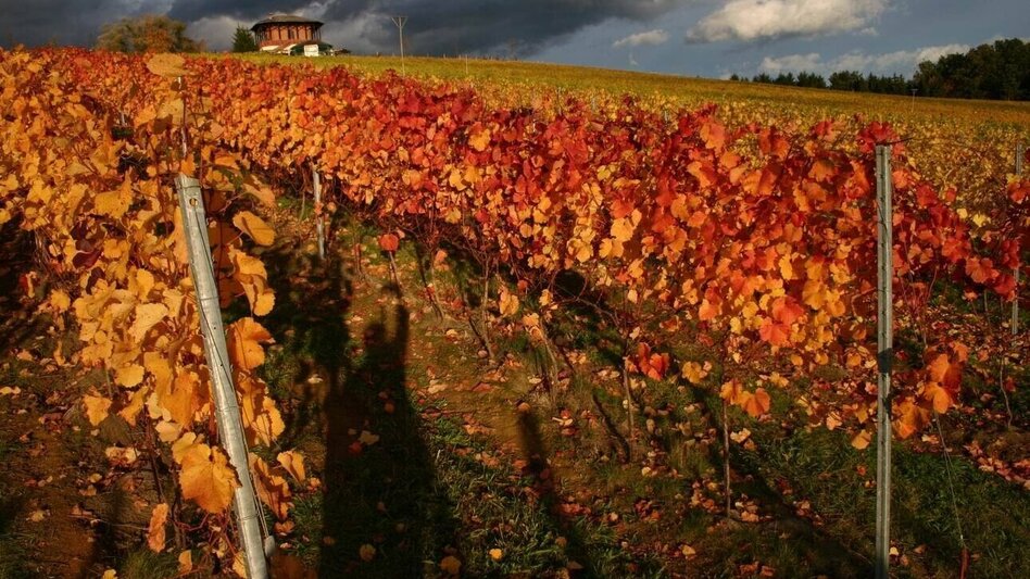 Hiking route Sebersdorfberg trail (Sebersdorfberg-Weg) - Touren-Impression #2.2 | © Thermen- & Vulkanland