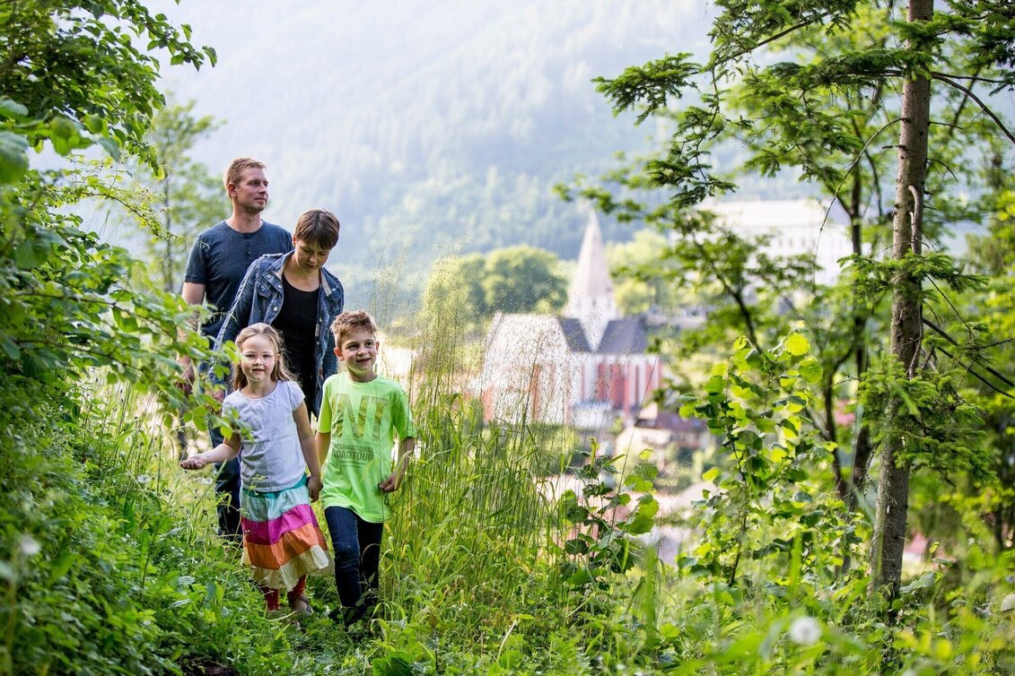 Themen- und Lehrpfad Frauenhainweg Tierlehrpfad Murau - Touren-Impression #1 | © Tourismusverband Murau