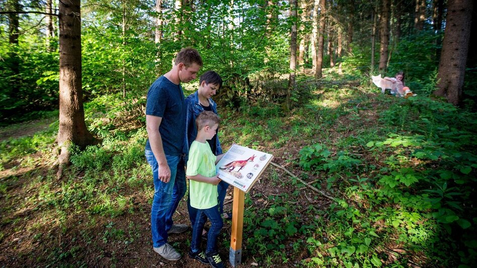Themen- und Lehrpfad Frauenhainweg Tierlehrpfad Murau - Touren-Impression #2.2 | © Tourismusverband Murau