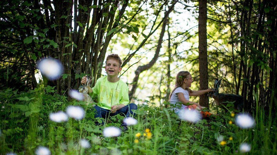 Themen- und Lehrpfad Frauenhainweg Tierlehrpfad Murau - Touren-Impression #2.5 | © Tourismusverband Murau