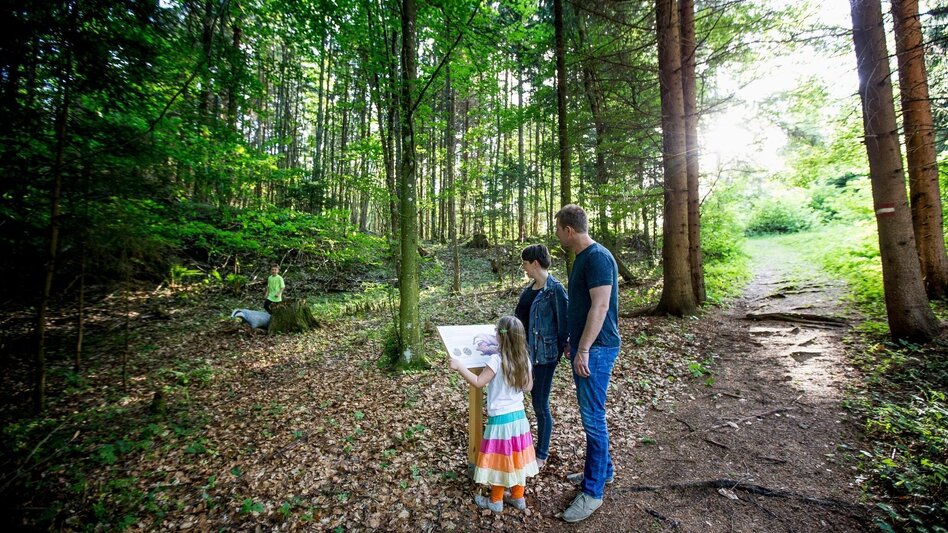 Themen- und Lehrpfad Frauenhainweg Tierlehrpfad Murau - Touren-Impression #2.3 | © Tourismusverband Murau