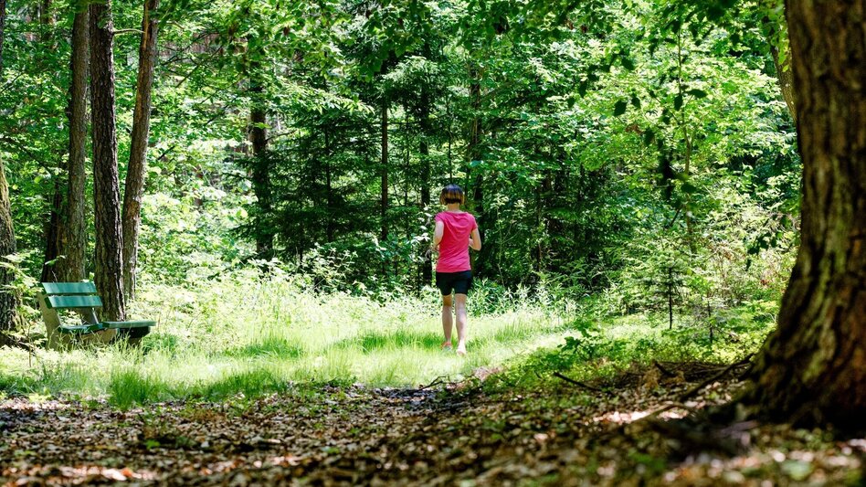 Jogging L2 Fahrtenspiel - sportliches Laufen - Bad Waltersdorf - Touren-Impression #2.1 | © Thermen- & Vulkanland