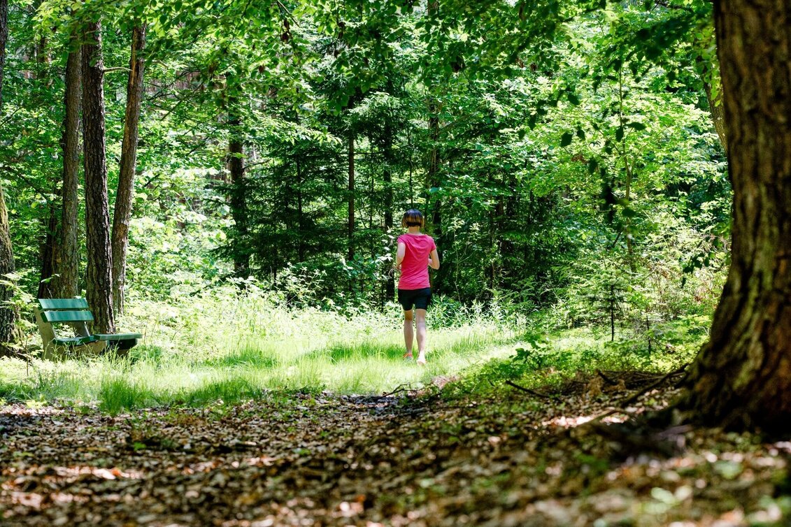 Jogging L2 Fahrtenspiel - sportliches Laufen - Bad Waltersdorf - Touren-Impression #1 | © Thermen- & Vulkanland