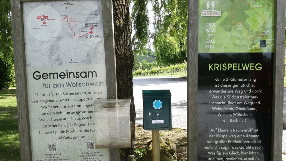 Hiking route Culinary trail (Kulinarikweg) - Touren-Impression #2.6 | © Thermen- & Vulkanland