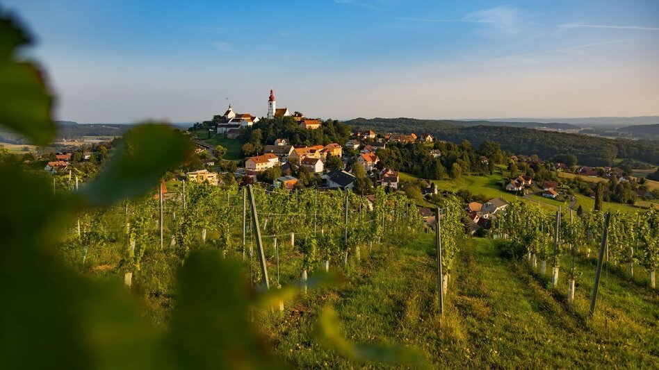 Hiking route Life force trail (Lebenskraftweg) - Touren-Impression #2.1 | © Erlebnisregion Thermen- & Vulkanland