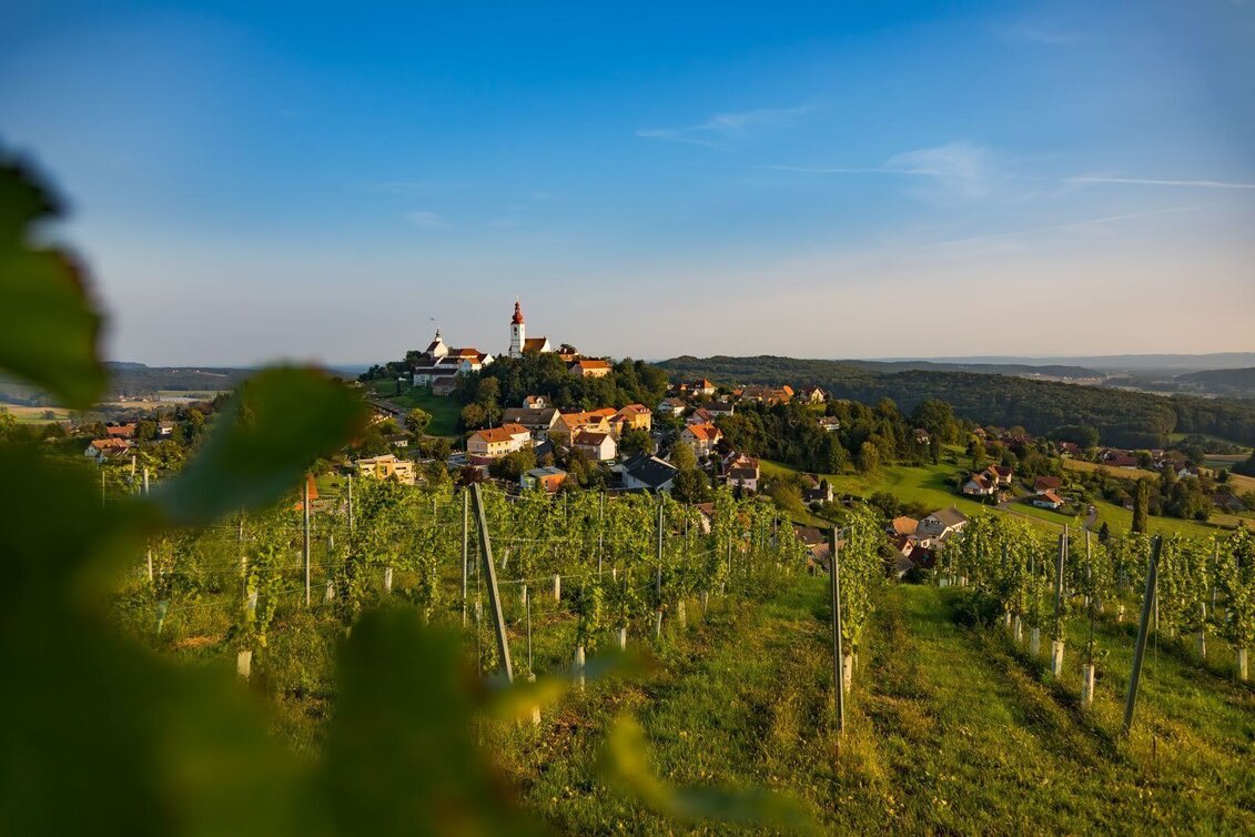 Hiking route Life force trail (Lebenskraftweg) - Touren-Impression #1 | © Erlebnisregion Thermen- & Vulkanland