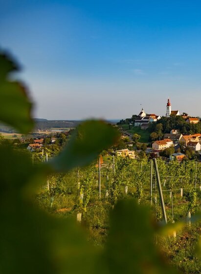 Blick auf Straden | © Erlebnisregion Thermen- & Vulkanland | Werner Krug | © Erlebnisregion Thermen- & Vulkanland