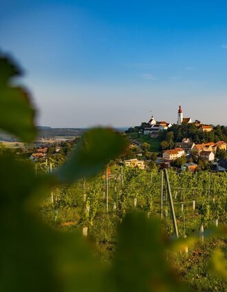 Blick auf Straden | Werner Krug | © Erlebnisregion Thermen- & Vulkanland