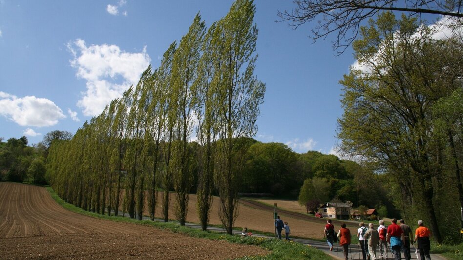 Theme path Art trail (Weg der Kunst) - Touren-Impression #2.1 | © TV Thermen- & Vulkanland