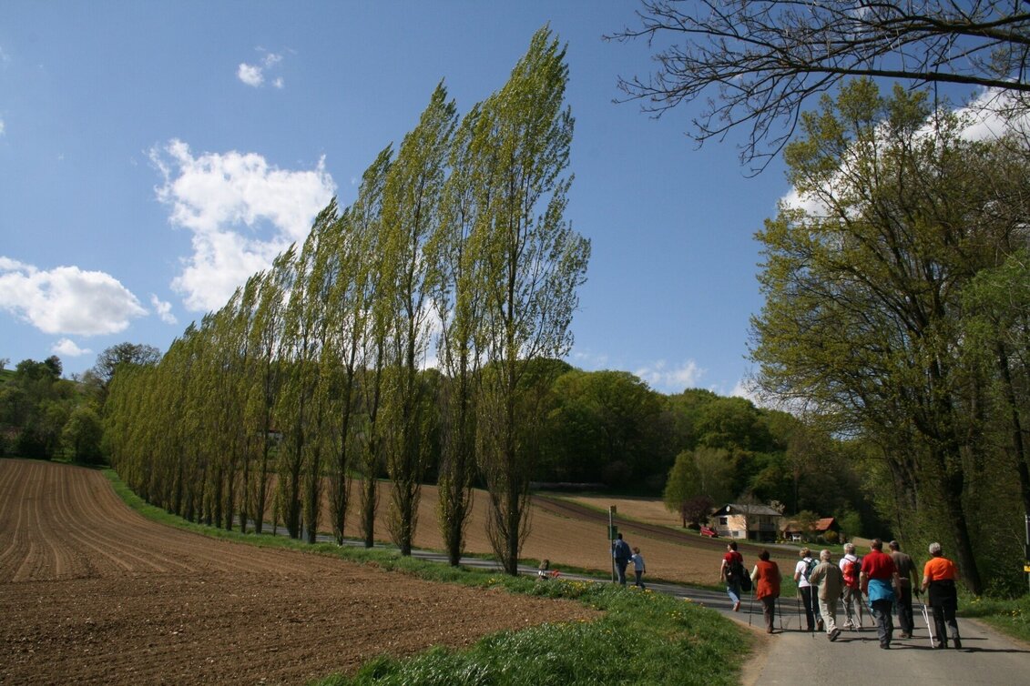 Theme path Art trail (Weg der Kunst) - Touren-Impression #1 | © TV Thermen- & Vulkanland