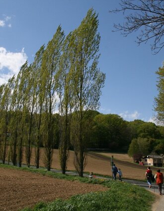Wandern | Marktgemeinde Straden | © TV Thermen- & Vulkanland