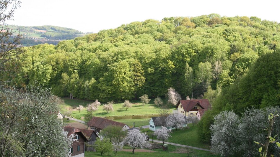 Theme path Art trail (Weg der Kunst) - Touren-Impression #2.3 | © TV Thermen- & Vulkanland