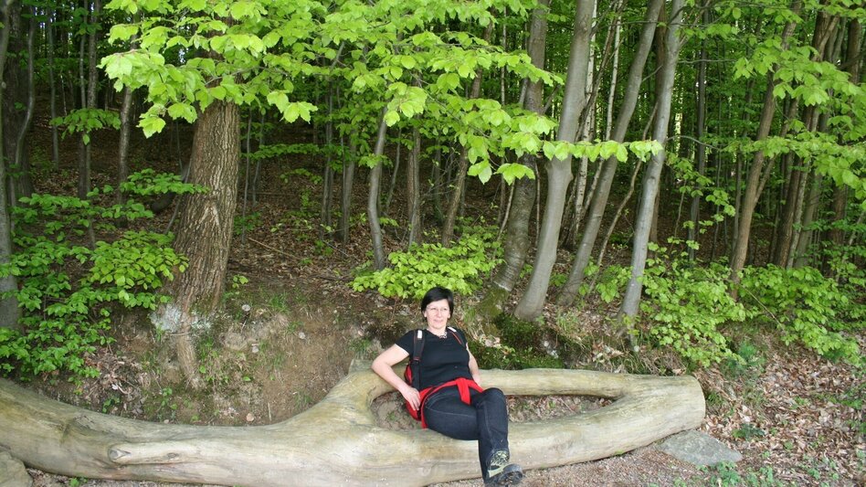 Theme path Art trail (Weg der Kunst) - Touren-Impression #2.4 | © TV Thermen- & Vulkanland