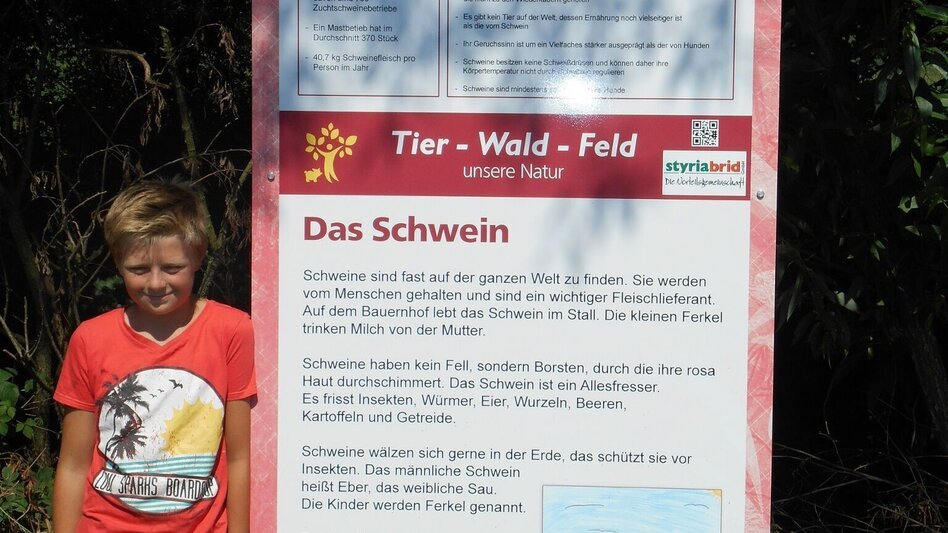 Theme path Animal-forest-field - agricultural theme trail (Tier-Wald-Feld - Landwirtschaftlicher Themenweg) - Touren-Impression #2.4 | © Thermen- & Vulkanland