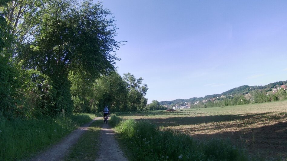 Theme path Animal-forest-field - agricultural theme trail (Tier-Wald-Feld - Landwirtschaftlicher Themenweg) - Touren-Impression #2.8 | © Thermen- & Vulkanland
