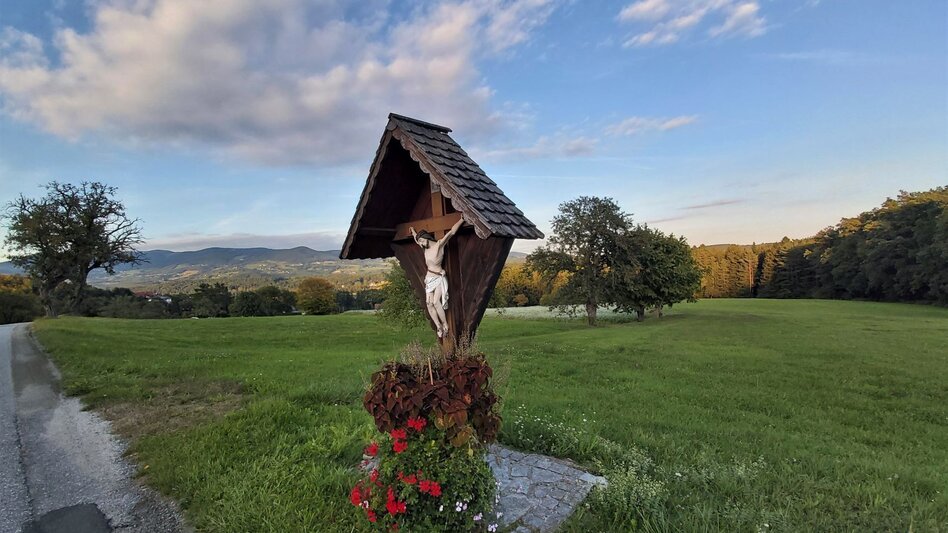 Radfahren GenussCard-Tour, Naturpark Pöllauer Tal - ApfelLand-Stubenbergsee - Touren-Impression #2.8 | © Oststeiermark Tourismus