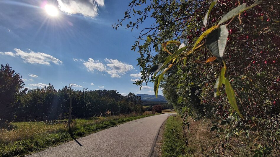 Radfahren GenussCard-Tour, Naturpark Pöllauer Tal - ApfelLand-Stubenbergsee - Touren-Impression #2.15 | © Oststeiermark Tourismus