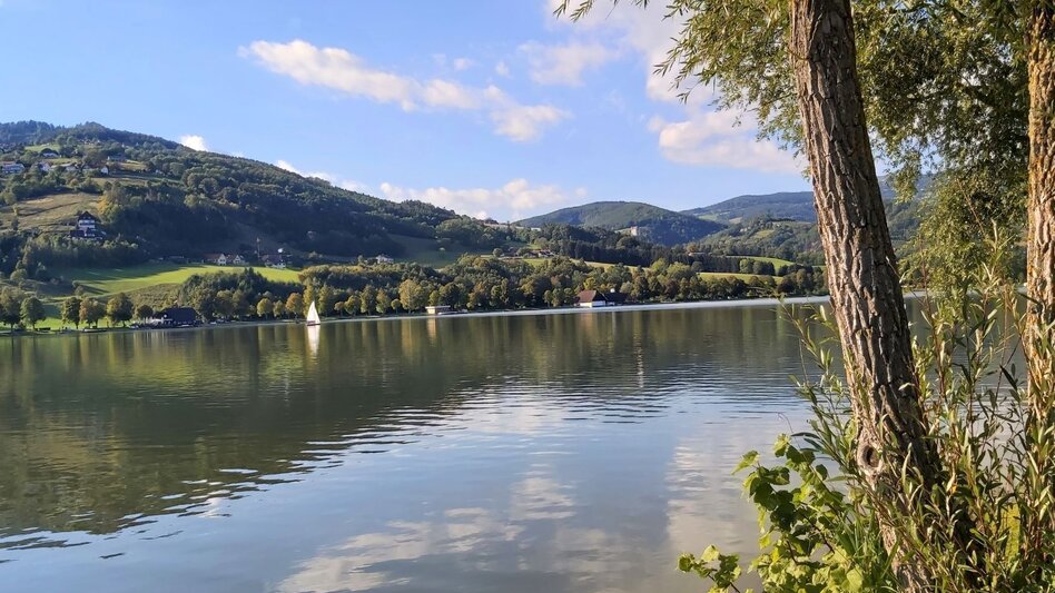 Radfahren GenussCard-Tour, Naturpark Pöllauer Tal - ApfelLand-Stubenbergsee - Touren-Impression #2.16 | © Oststeiermark Tourismus