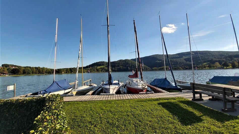 Radfahren GenussCard-Tour, Naturpark Pöllauer Tal - ApfelLand-Stubenbergsee - Touren-Impression #2.17 | © Oststeiermark Tourismus