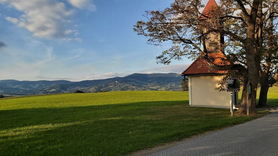 Radfahren GenussCard-Tour, Naturpark Pöllauer Tal - ApfelLand-Stubenbergsee - Touren-Impression #2.21 | © Oststeiermark Tourismus