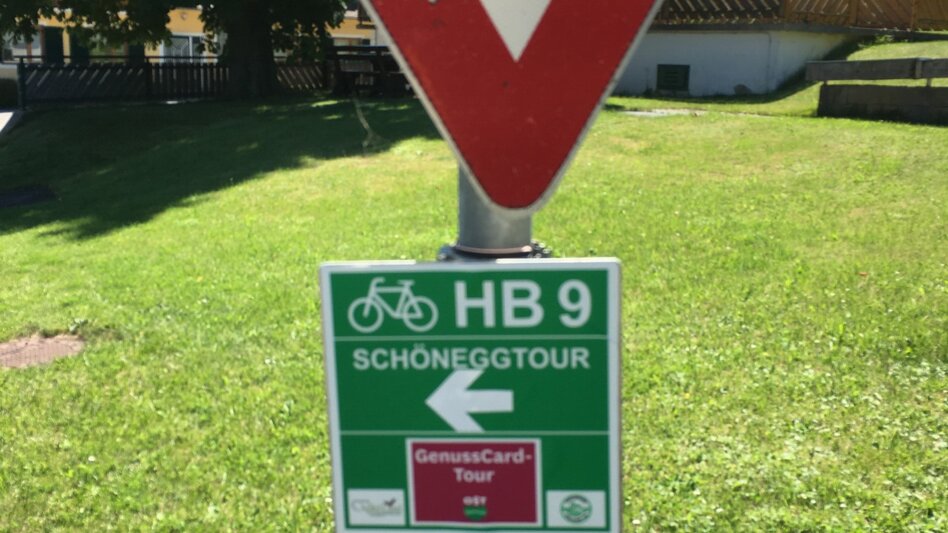 Radfahren GenussCard-Tour, Naturpark Pöllauer Tal - ApfelLand-Stubenbergsee - Touren-Impression #2.7