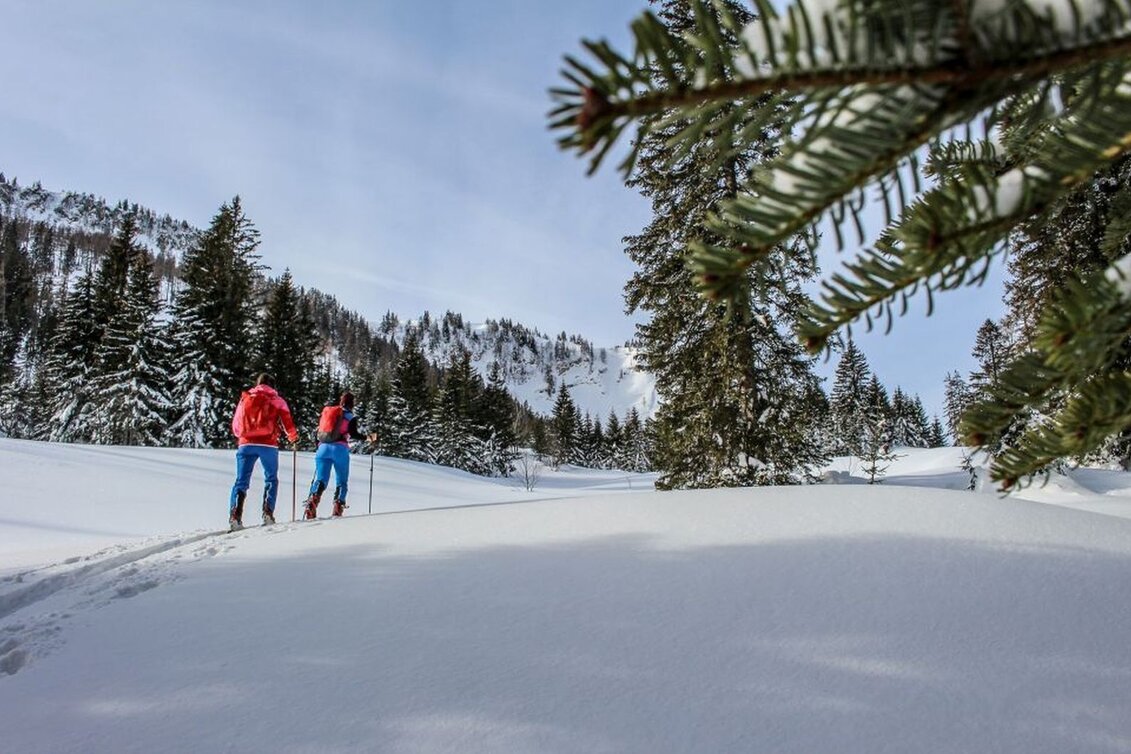 Ski Touring Ski tour from Bad Mitterndorf/Zauchen to the Tauplitzalm - Touren-Impression #1 | © Tourismusverband Ausseerland Salzkammergut
