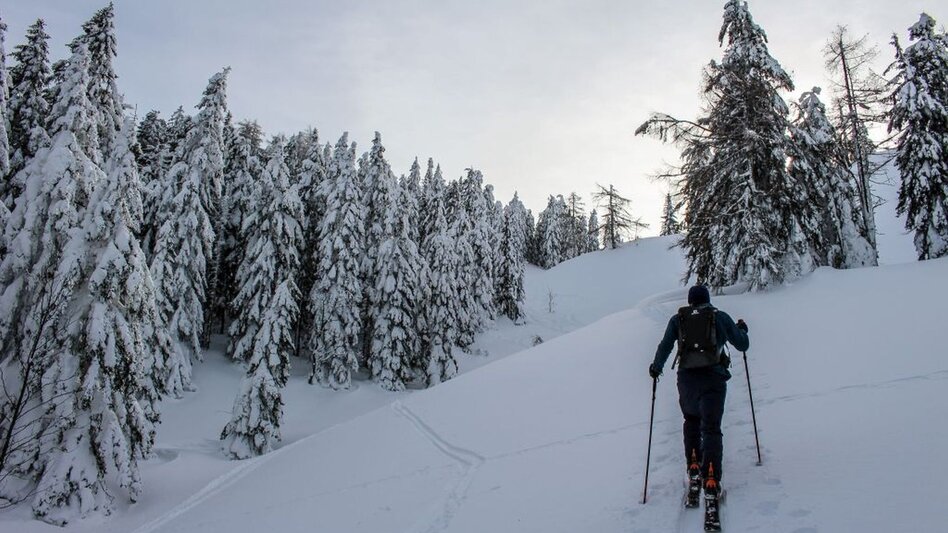 Ski Touring Ski tour from Bad Mitterndorf/Zauchen to the Tauplitzalm - Touren-Impression #2.3 | © TVB Ausseerland-Salzkammergut_Berghasen