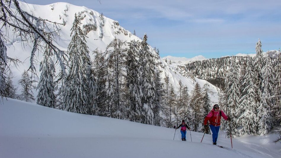 Ski Touring Ski tour from Bad Mitterndorf/Zauchen to the Tauplitzalm - Touren-Impression #2.4 | © Tourismusverband Ausseerland Salzkammergut