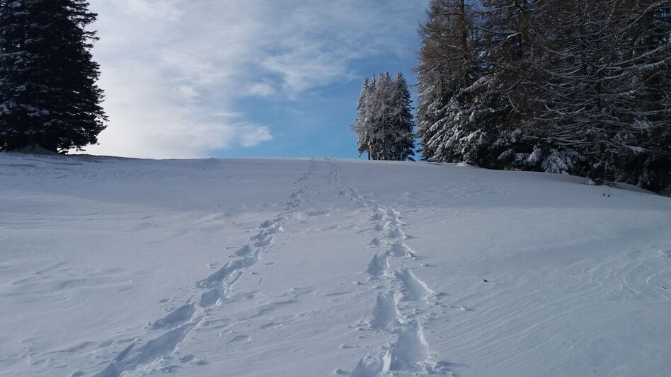 Snowshoe walking Schneeschuh-Runde am Brandkogel - Touren-Impression #2.1 | © Region Graz